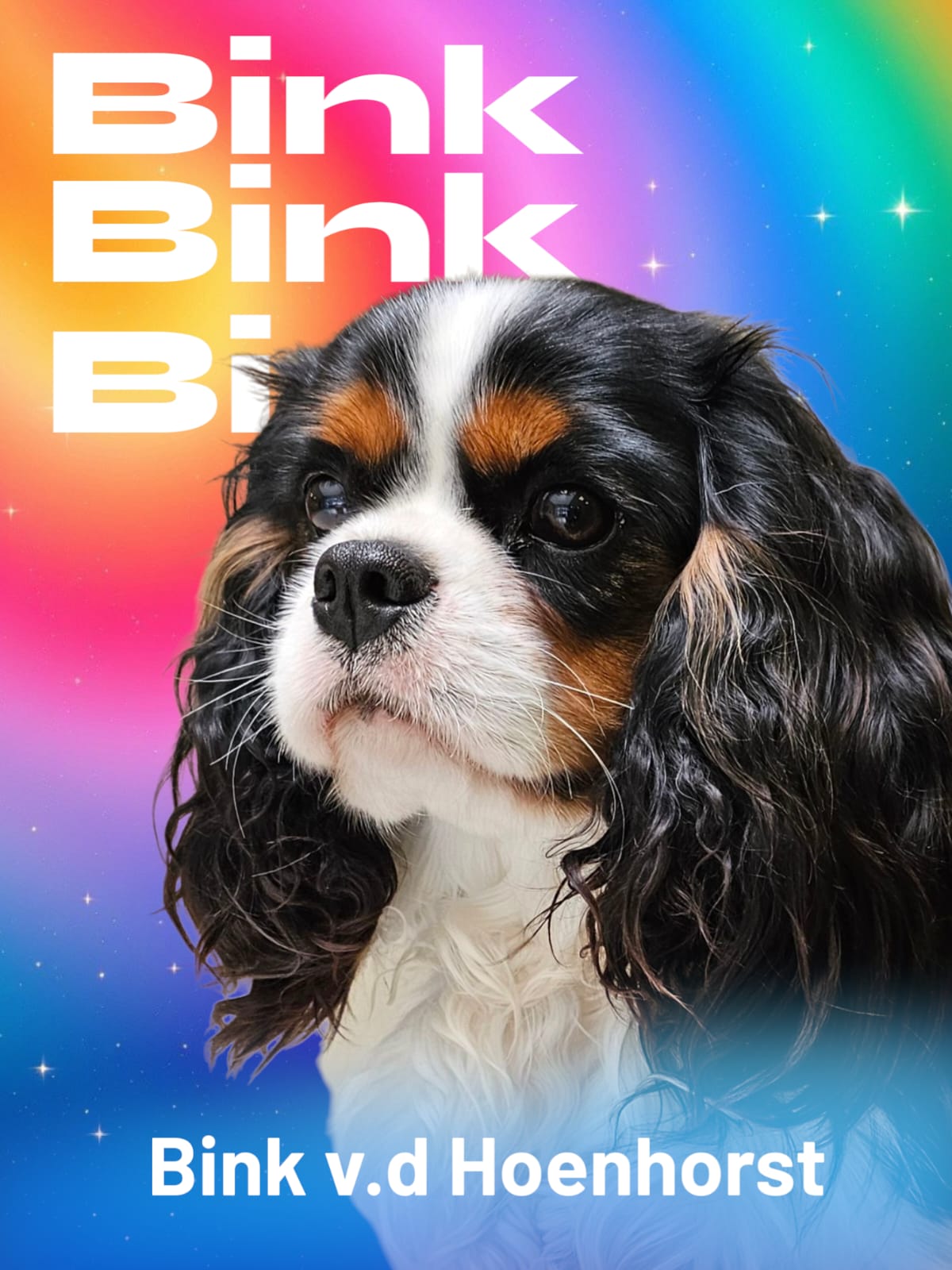 Bink4.jpeg