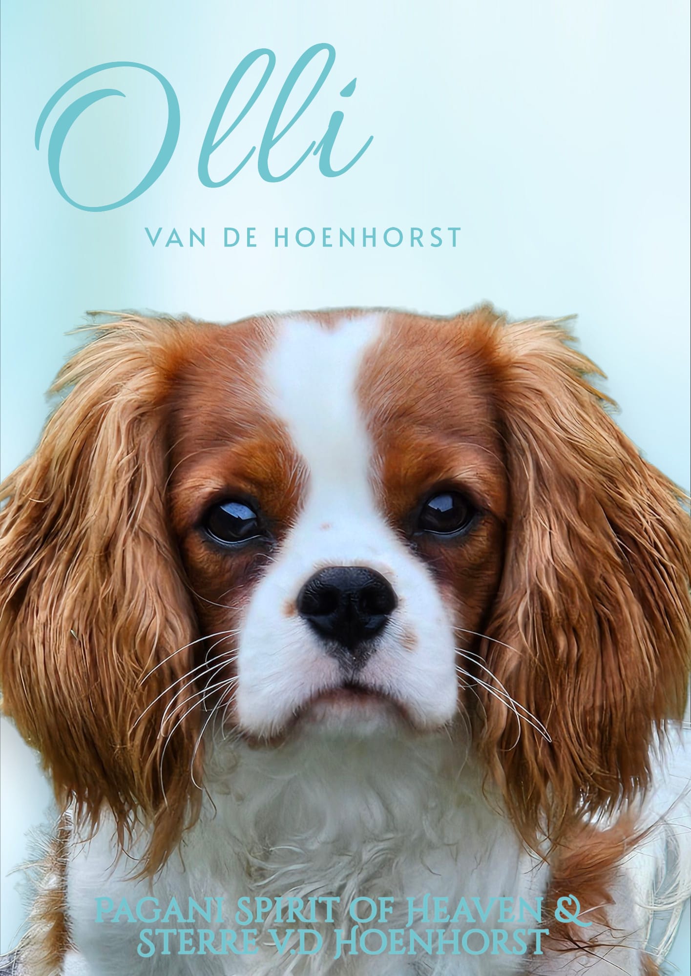 Olli2.jpeg